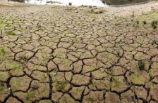 Jalisco – Tiene Chapala 15% menos agua que en 2023 (NTR)