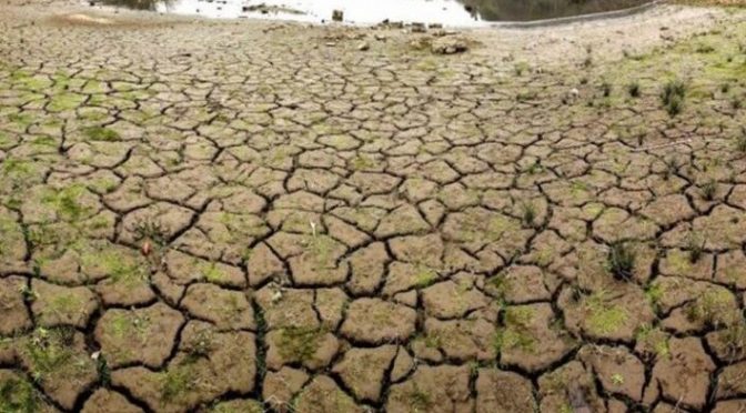 Jalisco – Tiene Chapala 15% menos agua que en 2023 (NTR)
