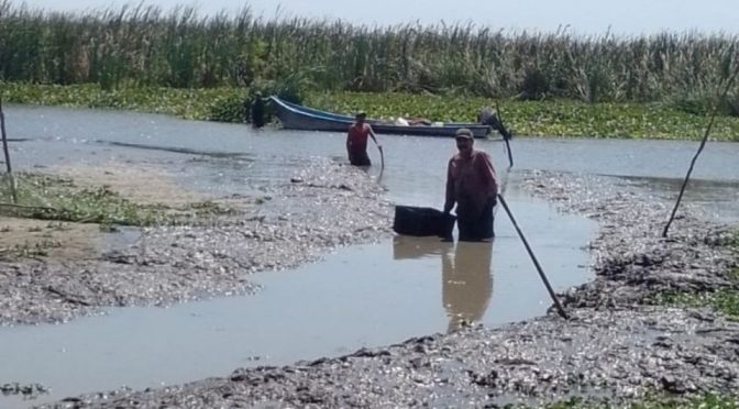Tamaulipas-Encuentran 40 tomas clandestinas para robar agua de laguna del Champayán al sur de Tamaulipas (El Heraldo de México)