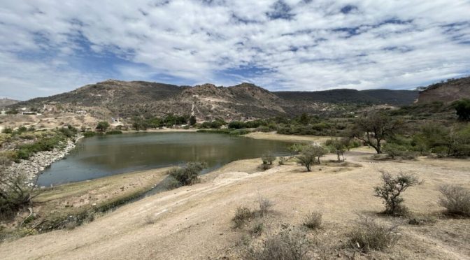 Guanajuato – Tres de las ocho presas monitoreadas por Conagua están secas en Guanajuato (Zona Franca)