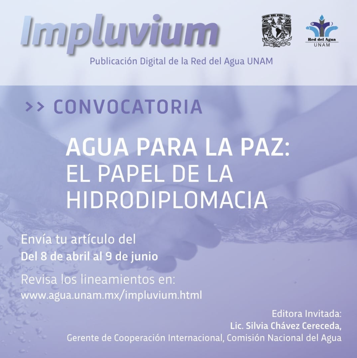 Agua para la Paz: El papel de la Hidrodiplomacia (Red del Agua UNAM)