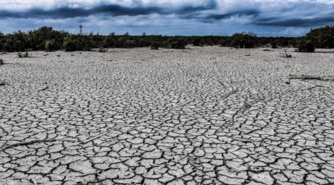 México – Todos los municipios de Chihuahua padecen sequía: Conagua (La Jornada)