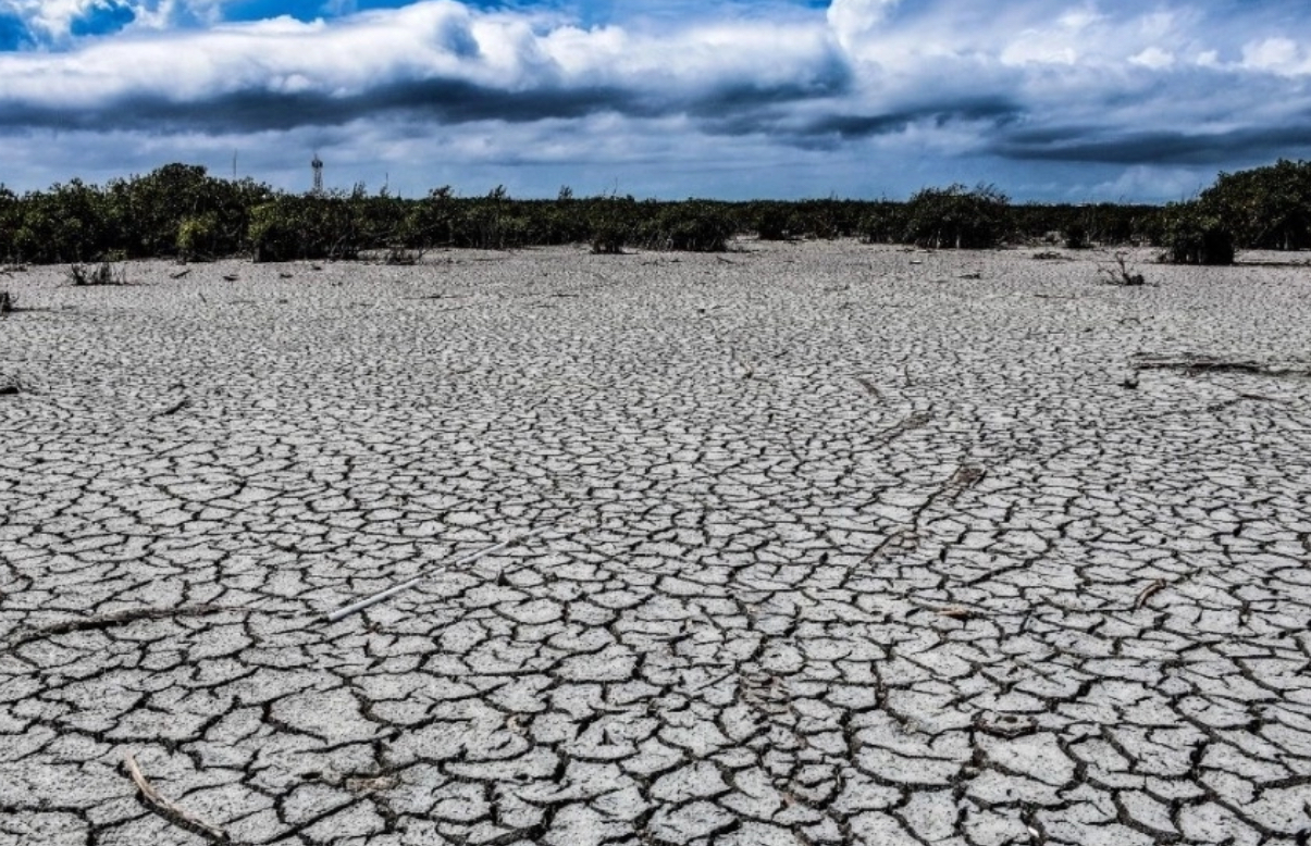 México – Todos los municipios de Chihuahua padecen sequía: Conagua (La Jornada)