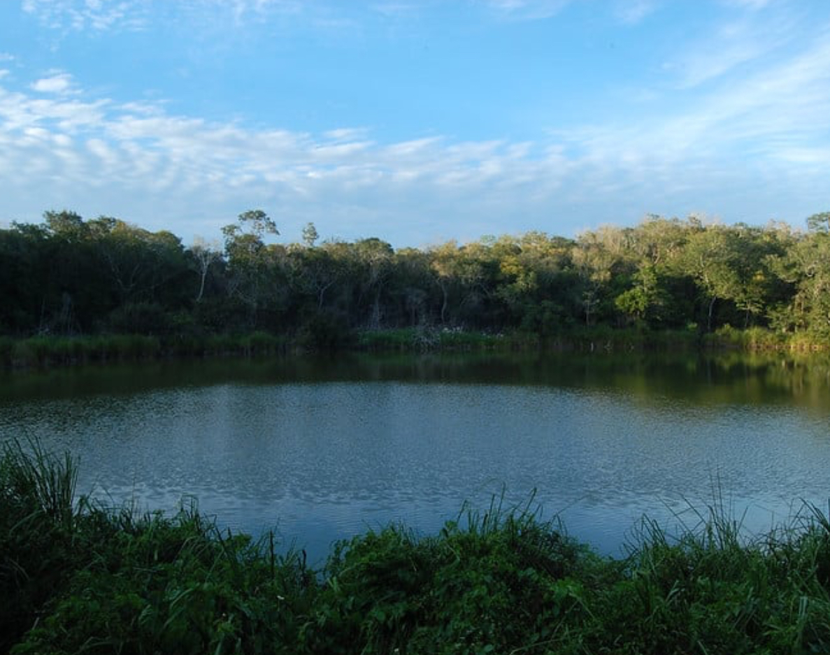 México – Monitoreo participativo comunitario: Una alternativa ante la contaminación del agua en Yucatán (La Jornada Maya)