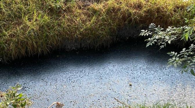 Puebla-Pobladores de Cuautlancingo denuncian contaminación de canal de agua pluvia (El Sol de Puebla)