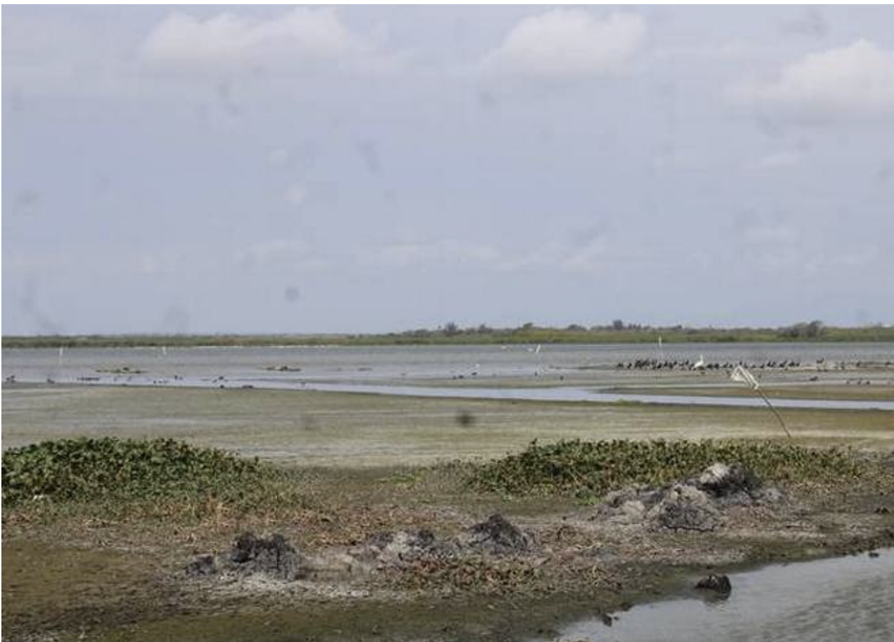 Tamaulipas- ¿Tampico en riesgo de agua salada otra vez? La pesadilla que se vivió en 2021 (El Sol de Tampico)