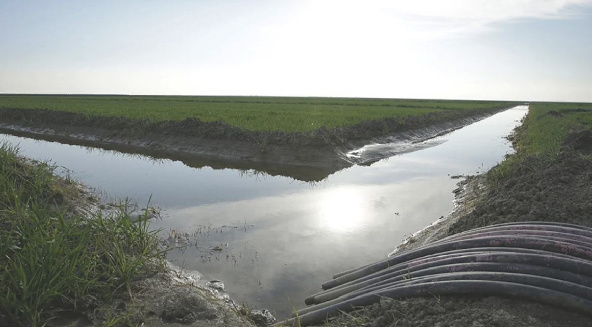 Mundo – California informa el primer aumento en el suministro de agua subterránea en años (Televisa California)