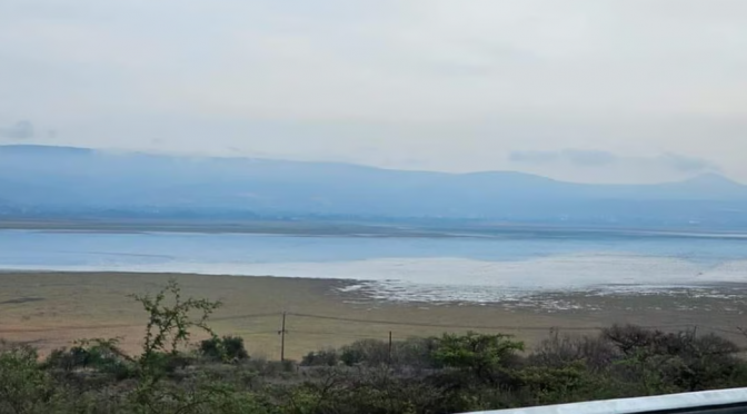 Michoacan – Lago de Cuitzeo amanece con agua tras lluvia, reportan (Mi Morelia)