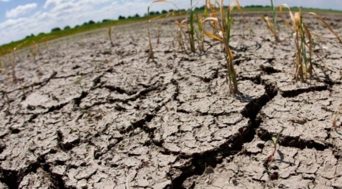 Sinaloa – Necesario asignarle un valor al fenómeno de la sequía y se haga planeación del uso del agua para que la población no quede sin su suministro (UAS)