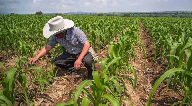 México – Se ha utilizado en México el 76% de agua en agricultura: TResearch (Quadratin)