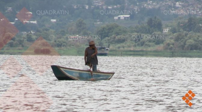 Michoacán – Urge recargar de agua al Lago de Pátzcuaro: especialista (Quadratín)