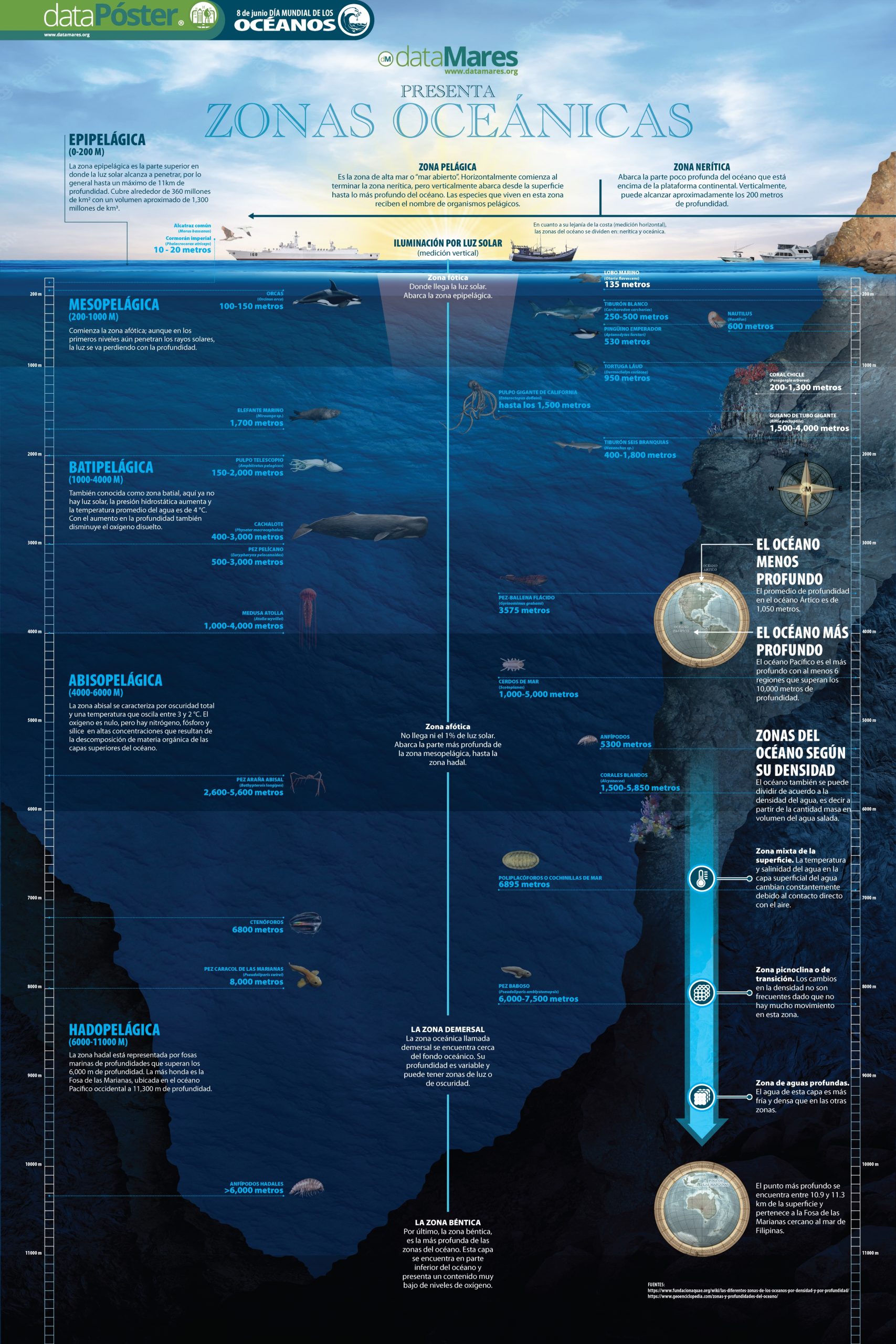 Ecosistemas y profundidades del océano