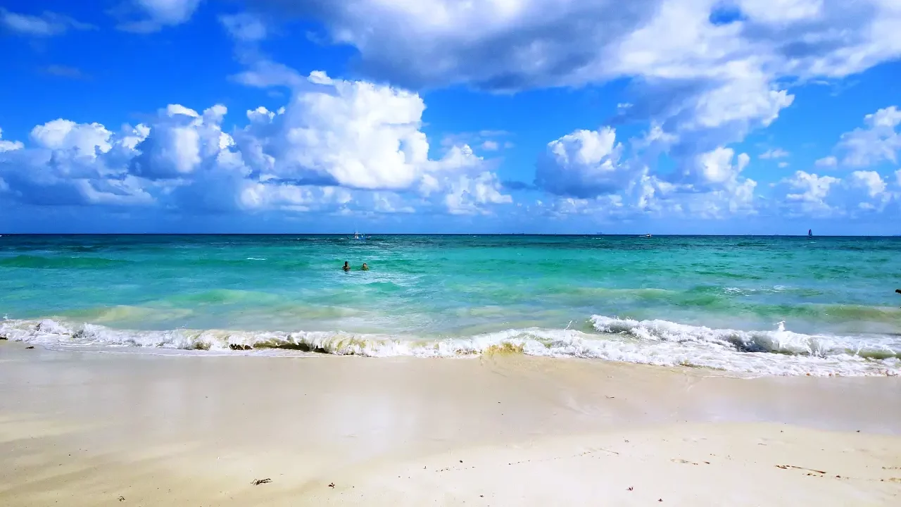 Quintana Roo – Intensas lluvias abren más de 10 ojos de agua en costas de la Riviera Maya (Forbes)