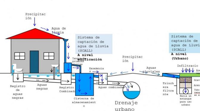 Jalisco- Proponen corredores verdes y sistemas de captación de agua para reducir inundaciones (UDG)