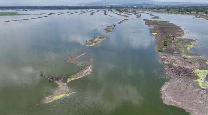 Edomex.-Laguna de Zumpango suma 23 millones de metros cúbicos de agua (23 por ciento) (La Jornada)