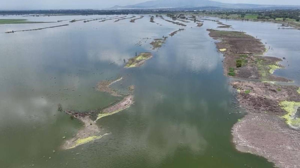 Edomex.-Laguna de Zumpango suma 23 millones de metros cúbicos de agua (23 por ciento) (La Jornada)