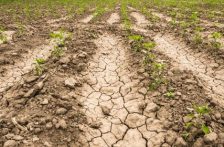 Tamaulipas-Tamaulipas enfrenta alto estrés hídrico: alertan por sequía prolongada y sobreexplotación del agua (Milenio)