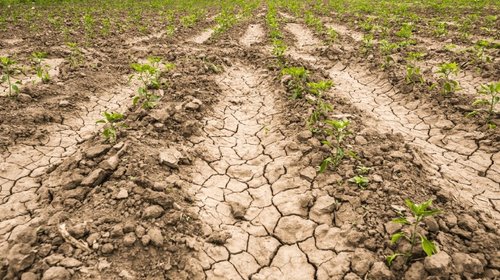 Nuevo León- Permanecen 3 municipios en categoría de anormalmente secos (Info7)