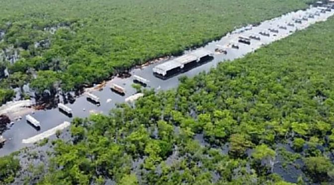 Quintana Roo – Vías del Tren Maya quedan bajo el agua tras escurrimientos por “Alberto” en un tramo de al menos kilómetro y medio (Latinus)
