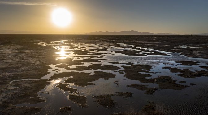 Mundo – Colorado River Delta showing signs of life after U.S.-Mexico deal to restore water (Science)