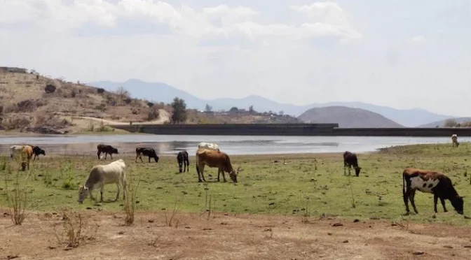 Nacional – Conagua hostiga a pequeños usuarios pero no cobra a las grandes industrias, adeudan millones de pesos por concesiones (Educa)