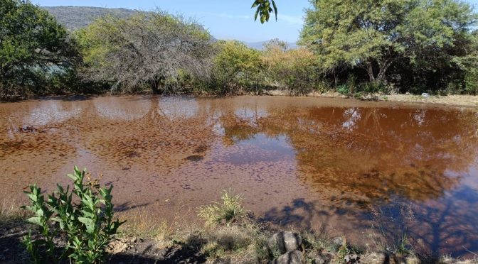 Michoacán – Causas de la escasez de agua en Morelia (Cambio de Michoacán)