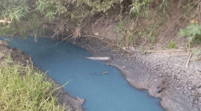 Puebla-Agua destinada a cultivos en Tehuacán comienza a contaminarse por actividad industrial (El Sol de Puebla)