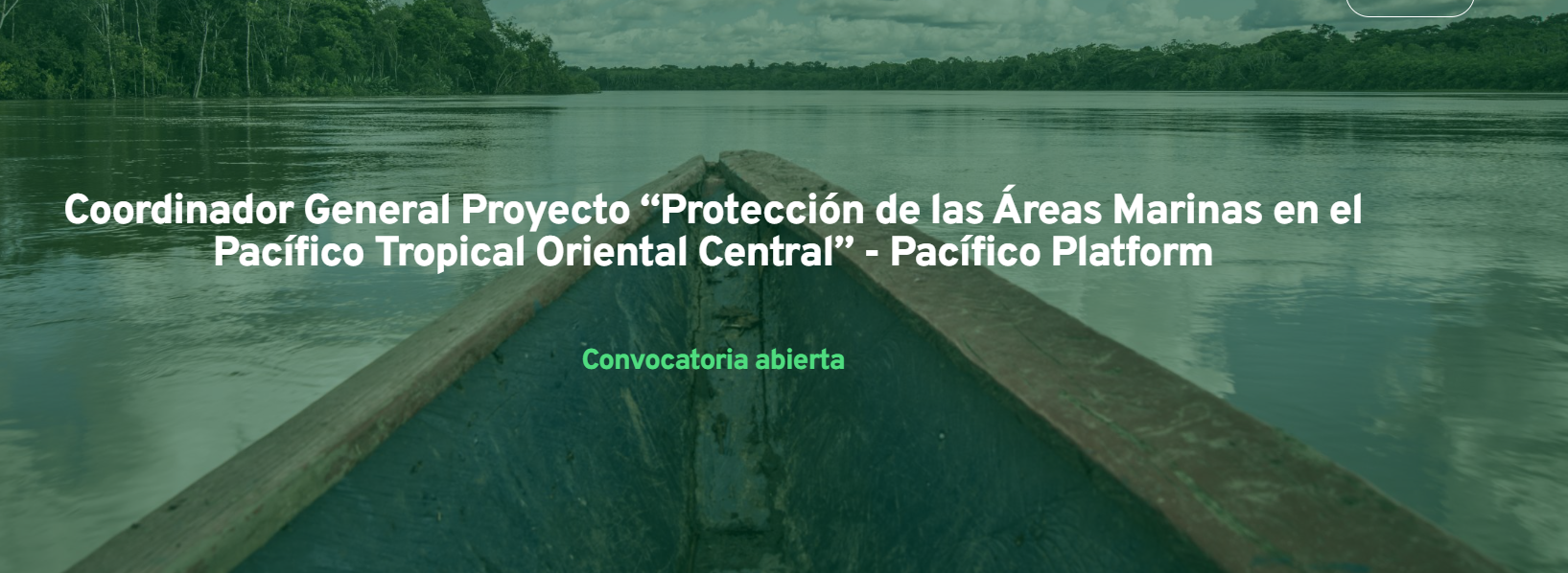 Coordinador General del Proyecto “Protección de las Áreas Marinas en el Pacífico Tropical Oriental Central” (Fondo Acción)