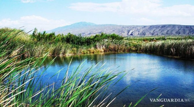 Coahuila-Sobreexplotación de agua en Cuatro Ciénegas acabaría con humedales (Vanguardia)