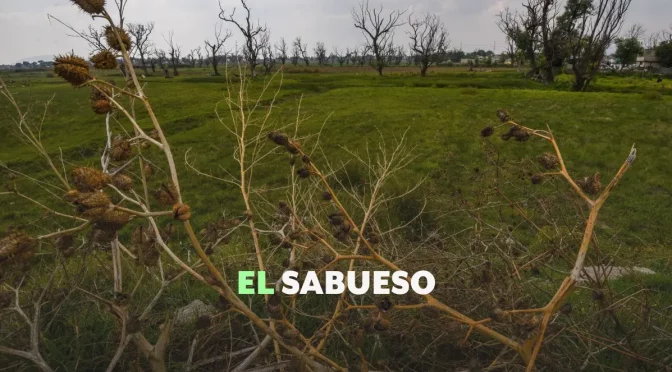 México – Disminuyó la sequía, pero persisten problemas de manejo del agua y altas temperaturas (Animal Político)