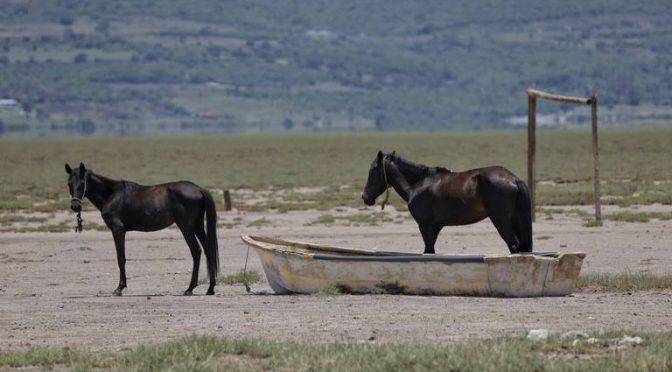 Michoacán- Zamora superó problema de sequía, asegura Comisión Estatal del Agua (El Sol de Zamora)