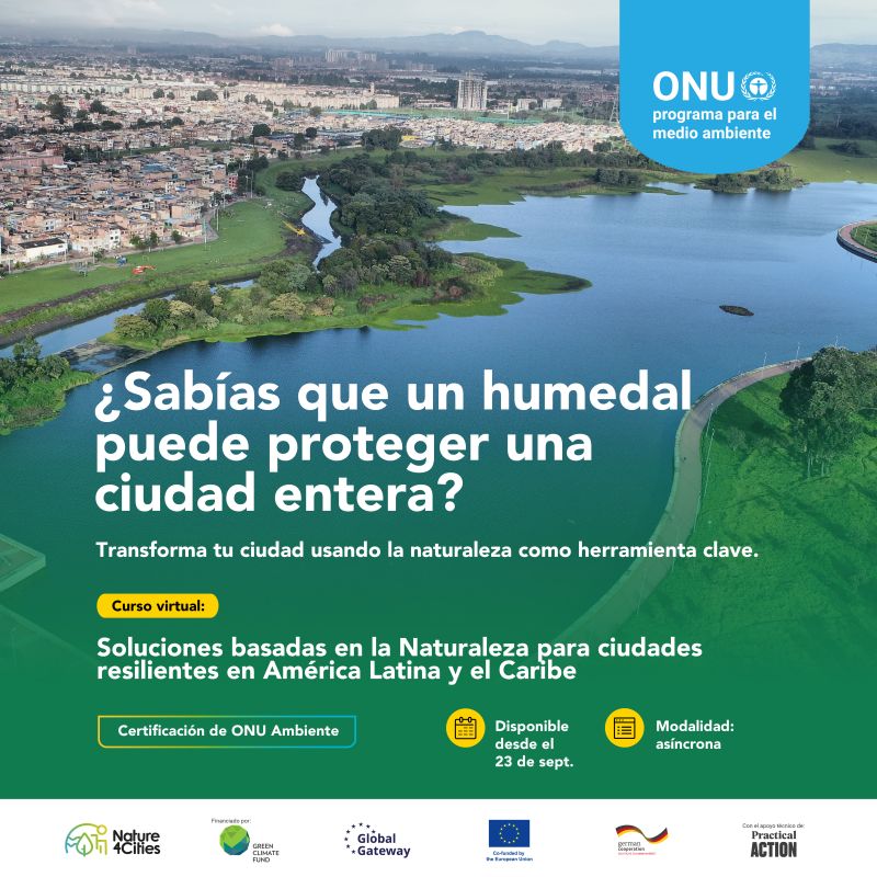 Curso virtual: Soluciones basadas en la Naturaleza pueden hacer nuestras ciudades más resilientes en América Latina y el Caribe (ONU programa para el medio ambiente)