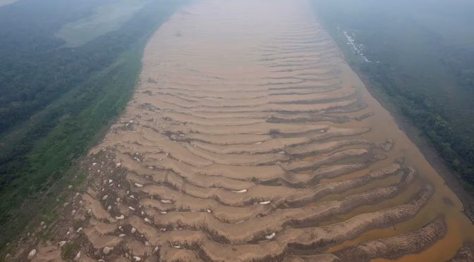 Internacional – Los niveles de agua en el Amazonas están mínimos históricos por la sequía prolongada (Infobae)