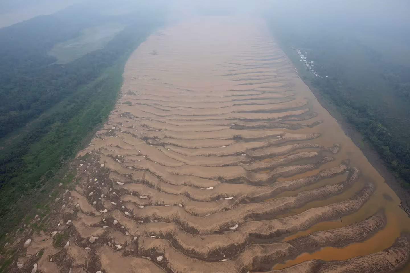 Internacional – Los niveles de agua en el Amazonas están mínimos históricos por la sequía prolongada (Infobae)