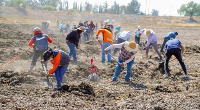 Estado de México – Avanza la recuperación de la Laguna de Zumpango para prevenir inundaciones y garantizar agua, afirma Gobierno del Edomex (El Universal)