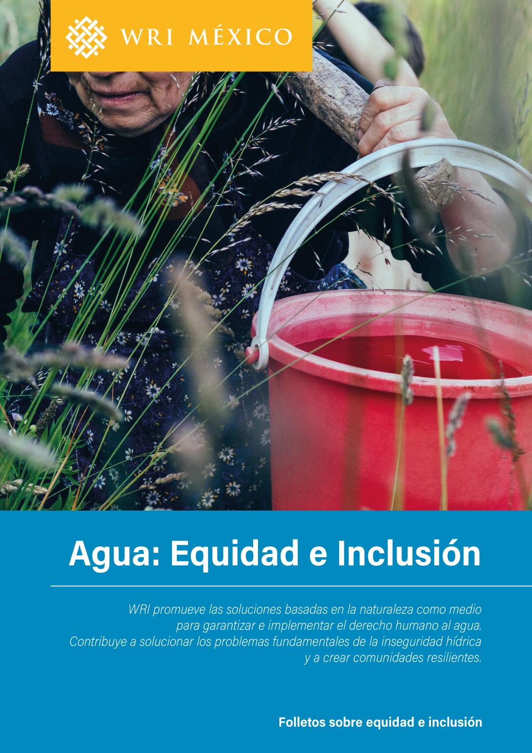 Folletos sobre equidad e inclusión: agua (WRI)