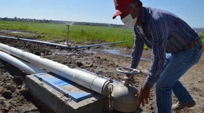 Guanajuato – Logra Guanajuato importante ahorro de agua en el campo (El Pipila)