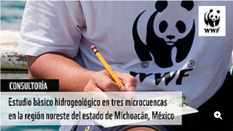 Consultoría: Estudio básico hidrogeológico en tres microcuencas en la región noreste del estado de Michoacán, México (WWF)