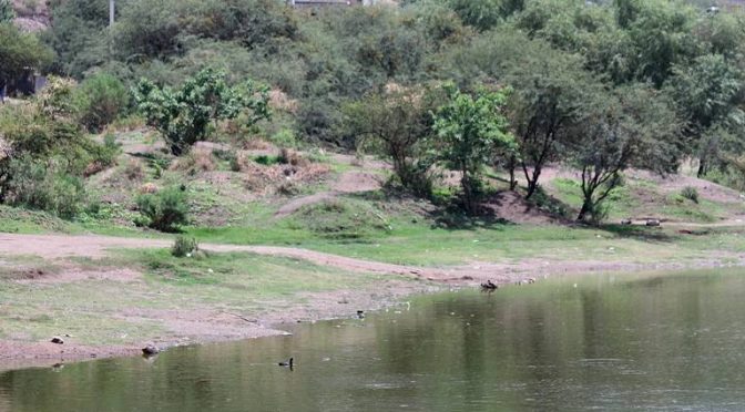 Guanajuato – Planes B y C para dotar de agua a Guanajuato costarían 25 mil millones de pesos (Noticias Vespertinas)