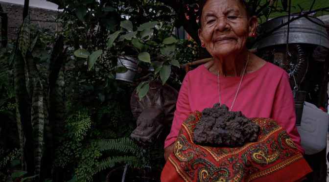 Ciudad de México – Rostros del agua: la conquista del agua (Pie de página)