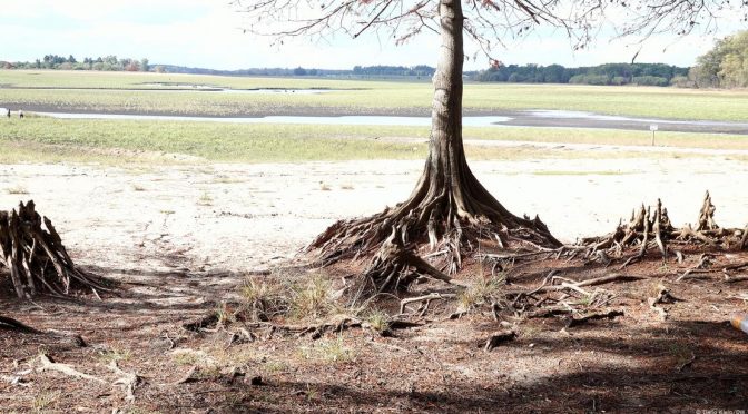 Mundo-Fondos de Agua: alianzas para ganarle a la sequía (DW)