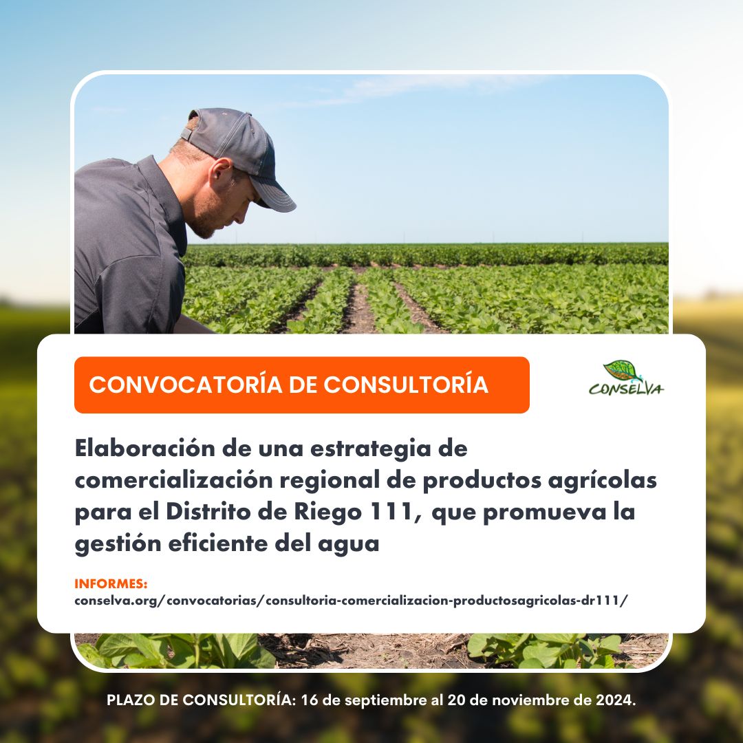 Vacante- Consultoría para elaborar una estrategia de comercialización regional de productos agrícolas para el Distrito de Riego 111, que promueva la gestión eficiente del agua (Conselva)