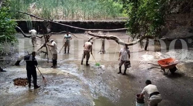 Chiapas-Mantos freáticos de “El Zapotal” con afectaciones; animales beben agua contaminada (El Heraldo de Chiapas)