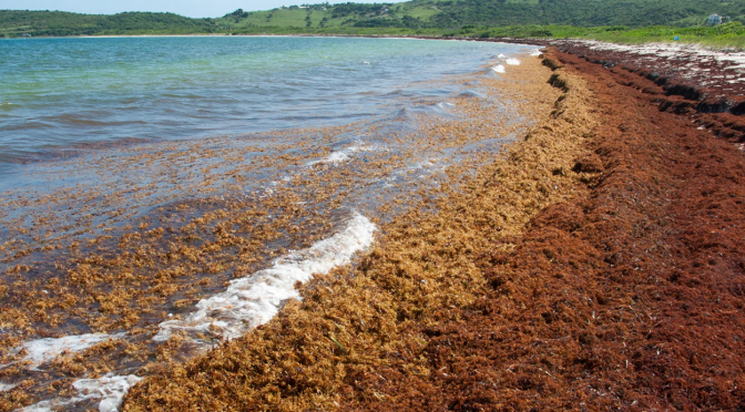 Internacional – Un mar aislado: la única masa de agua que no toca tierra (Independent)