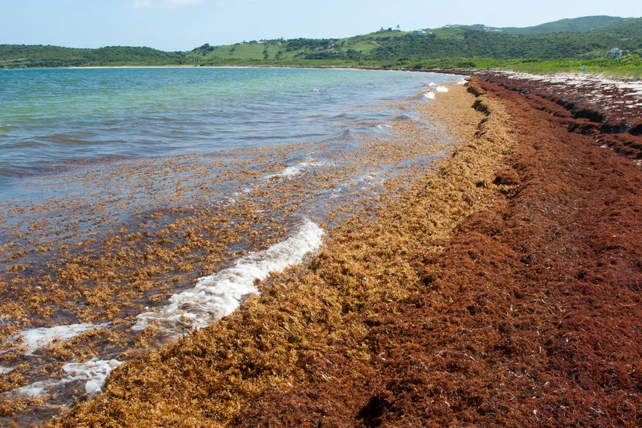 Internacional – Un mar aislado: la única masa de agua que no toca tierra (Independent)