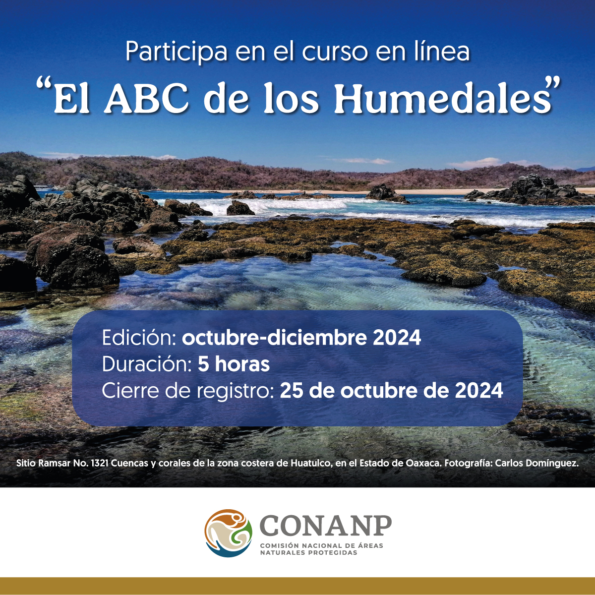 Curso en línea: “El ABC de los Humedales” (CONANP)