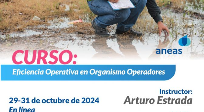 Curso: “Eficiencia operativa en organismo operadores” (ANEAS de México A.C.)