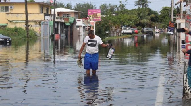 Veracruz – “No ha venido ninguna autoridad”: ciudadanos buscan drenar agua de calles en Veracruz (Diario de Xalapa)