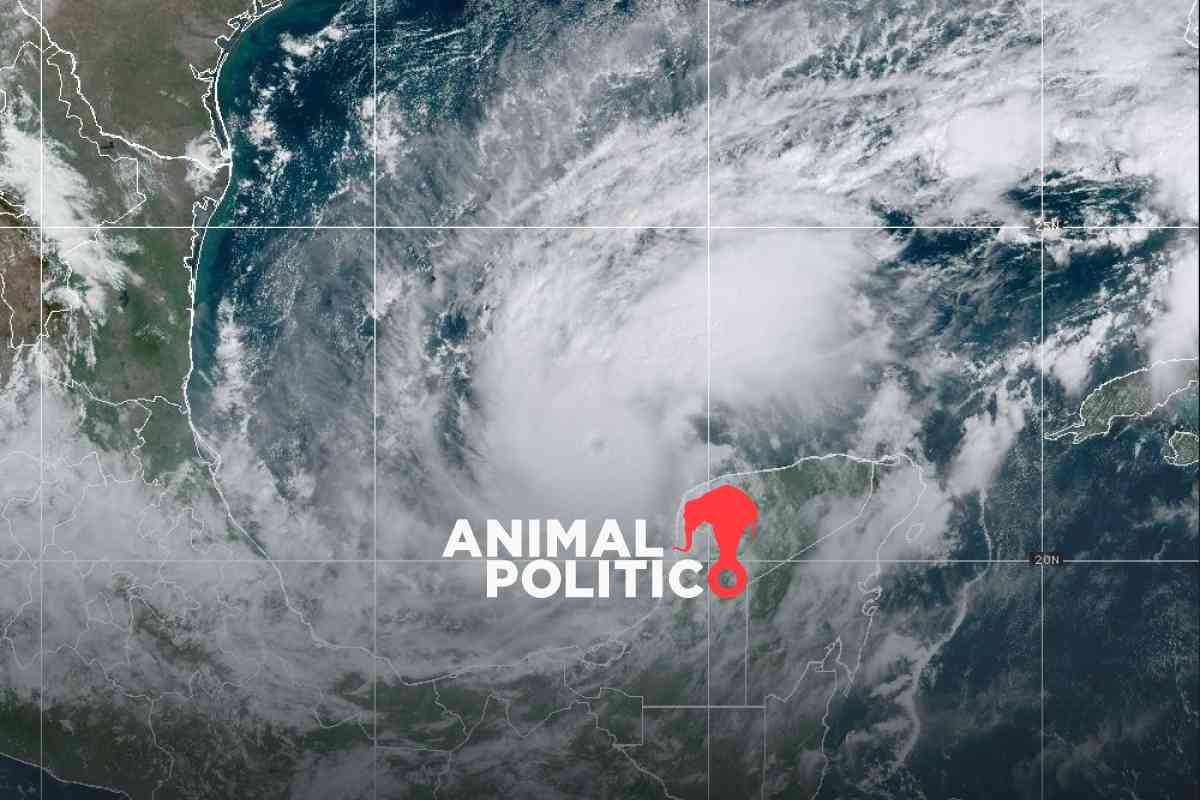 México – Milton se intensifica a huracán categoría 5; Yucatán, Campeche y Quintana Roo están en alerta (Animal Político)