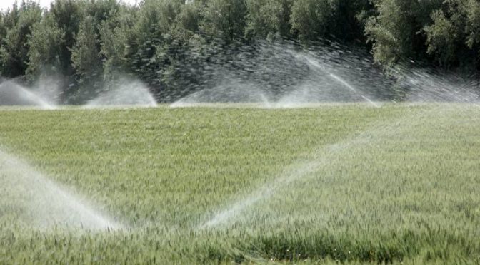 México – Agroindustria cervecera reafirma ruta de reducción del uso de agua (El Sol de México)